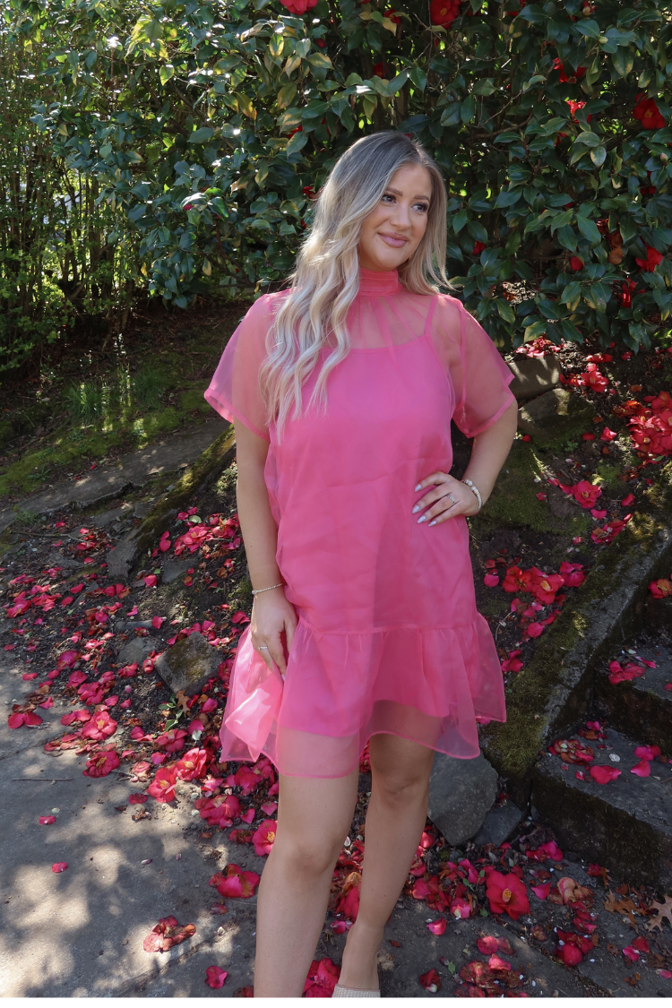 Berny Organza Mock Neck Mini Dress - Pink