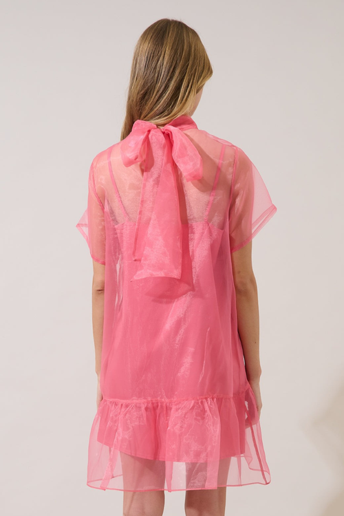 Berny Organza Mock Neck Mini Dress - Pink