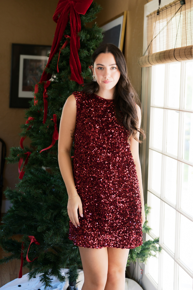 Irina Sequin Sleeveless Mini Dress with Black Bow - Burgundy