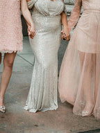 Natasha Champagne Sequin Gown